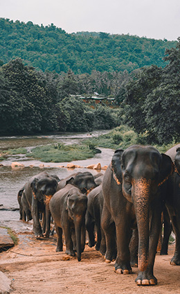 Honey Travel Boutique