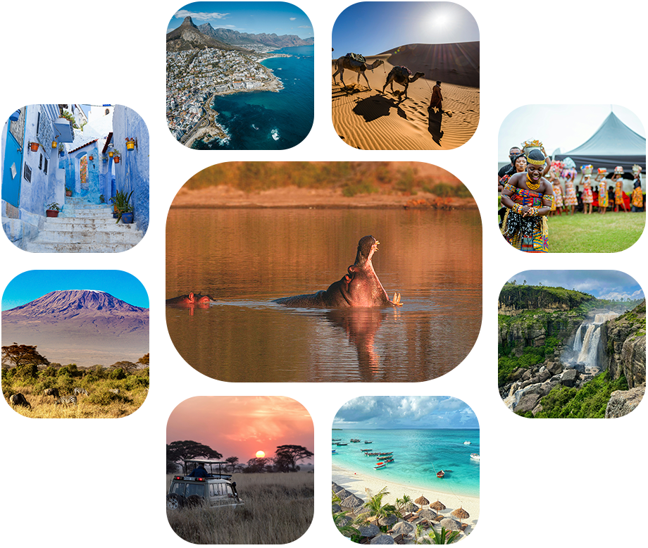 Honey Travel Boutique