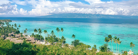 Honey Travel Boutique