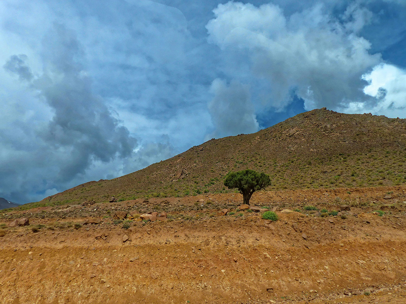 Honey Travel Boutique Idea di Viaggio Costa del Mar Rosso e paradiso delle immersioni